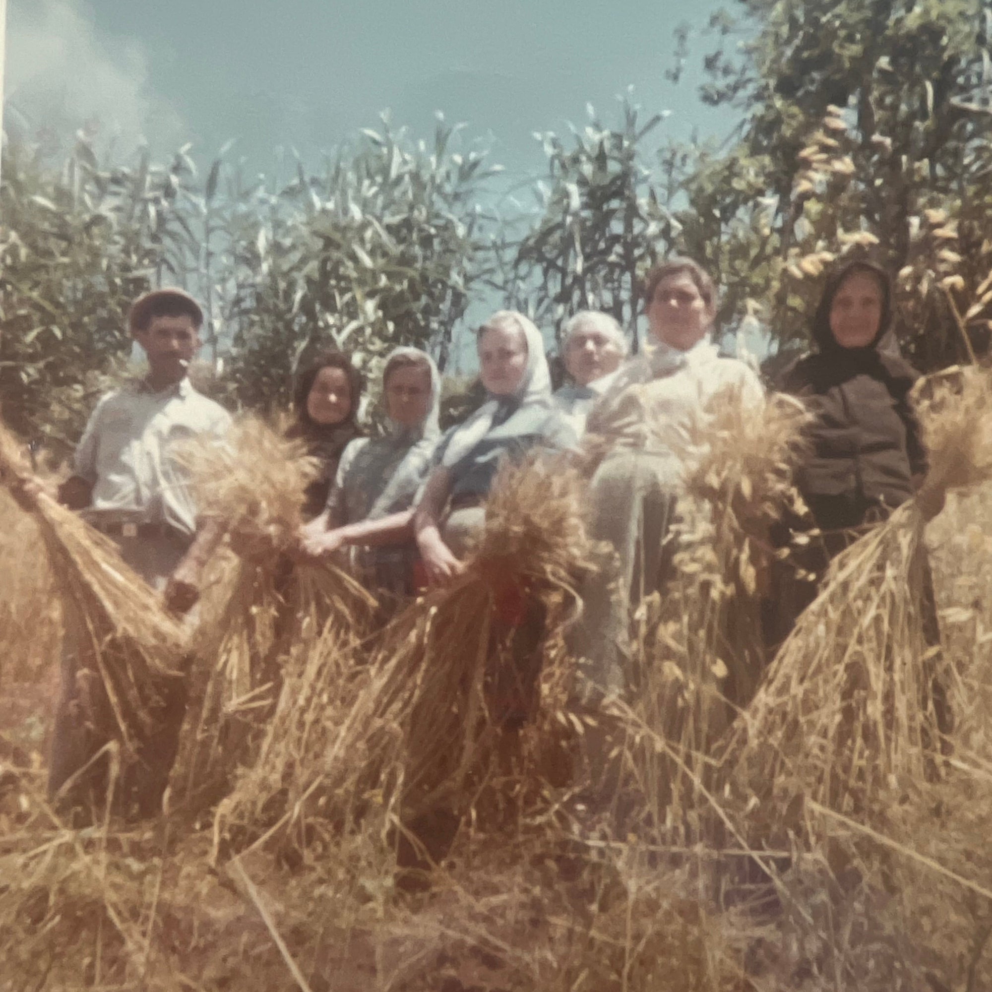 Heritage-Wheat-Flour