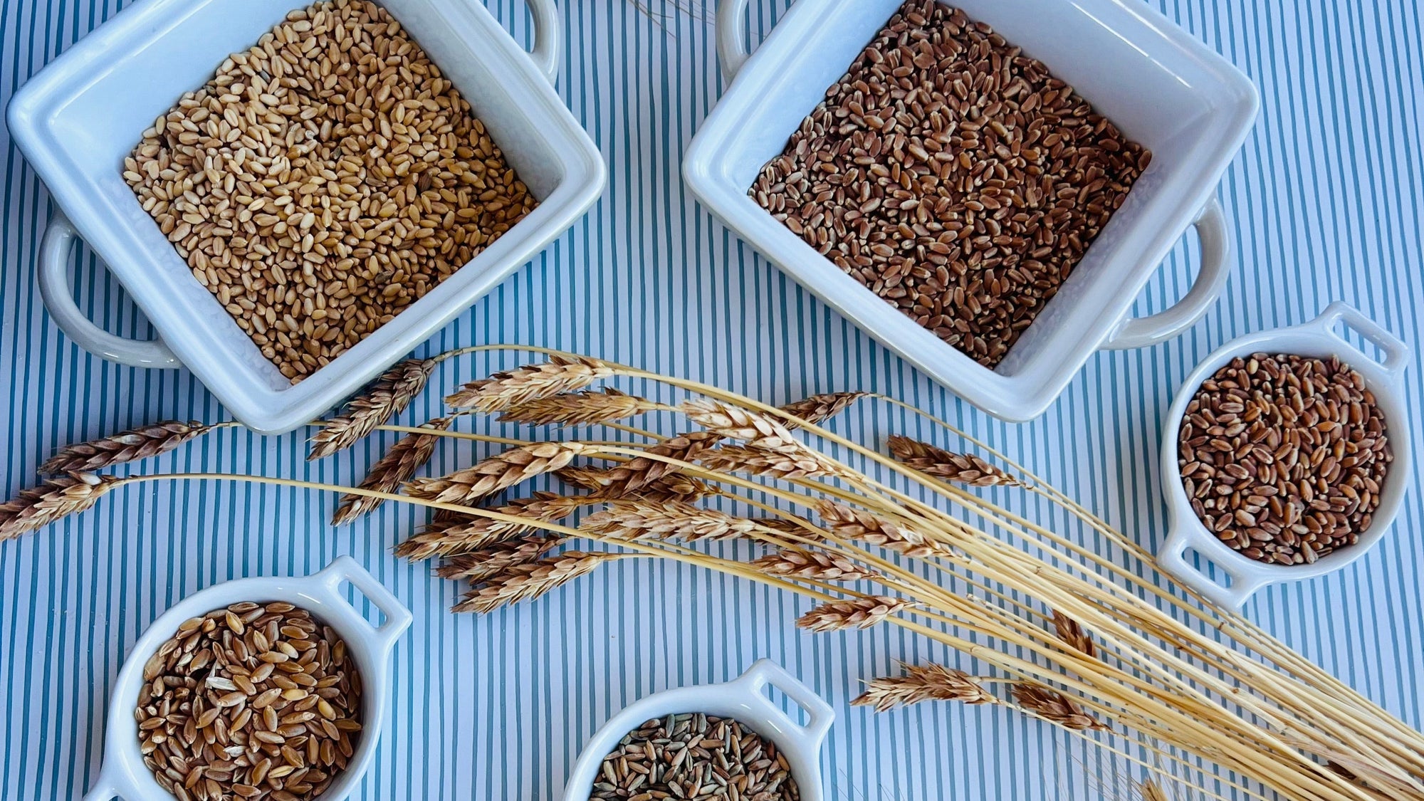 local-heritage-grain-wheat